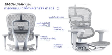 เก้าอี้เพื่อสุขภาพ DF PROCHAIR รุ่น Ergo Elite Ultra Plus สีเทา_6
